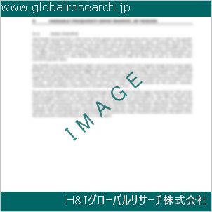 グローバルリサーチ調査資料のイメージ